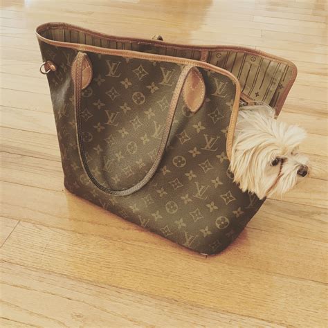 lv bag for dogs|designer totes to carry dog.